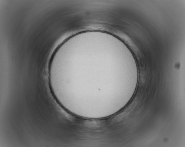 X0000101211286200807251040