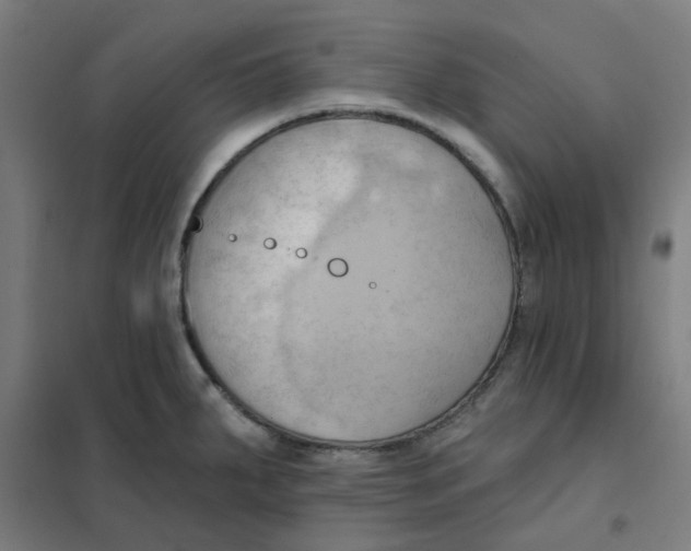 X0000101211287200807251040