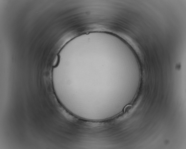 X0000101211289200807251040