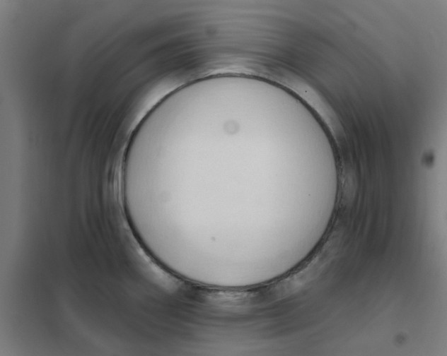 X0000101211290200807251040