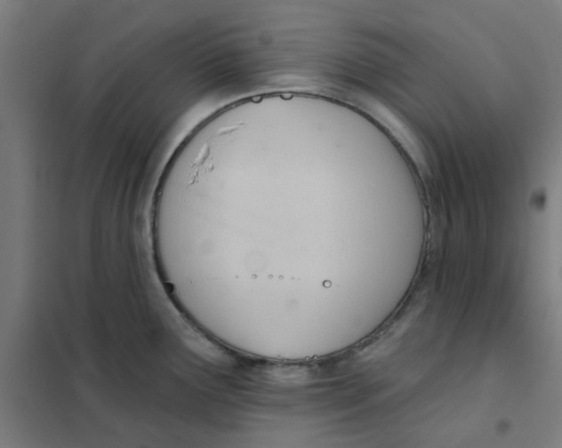 X0000101211291200807251040