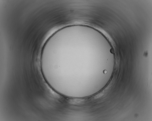 X0000101211294200807251040