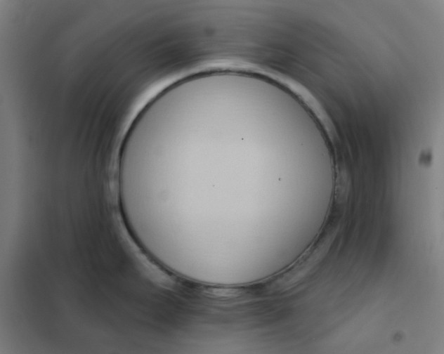 X0000101211295200807251040