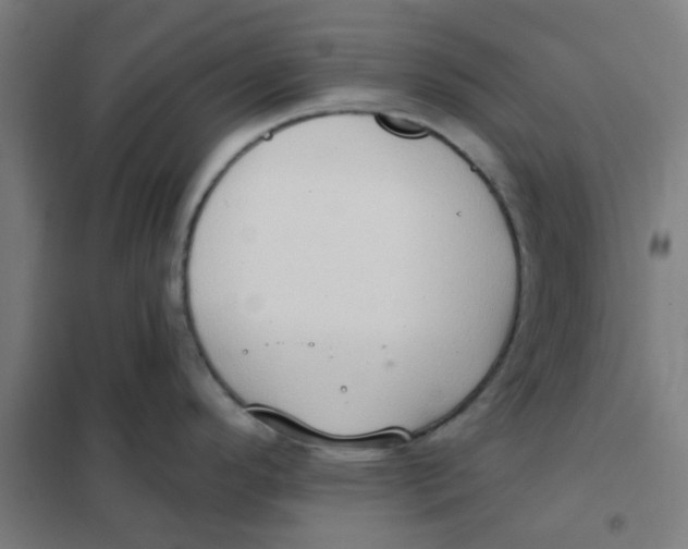 X0000101211296200807251040