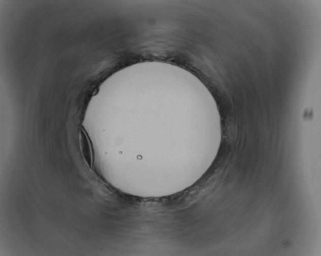 X0000101211297200807251040