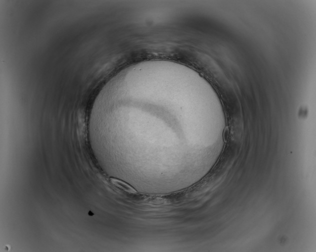 X0000101211298200807251040