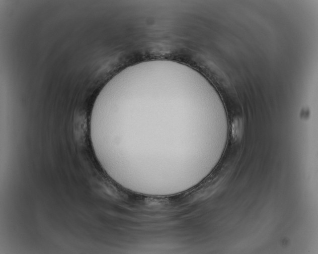 X0000101211299200807251040