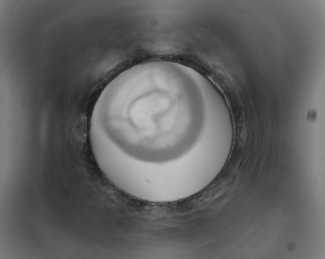 X0000101211301200807251040