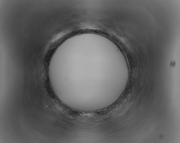 X0000101211303200807251040