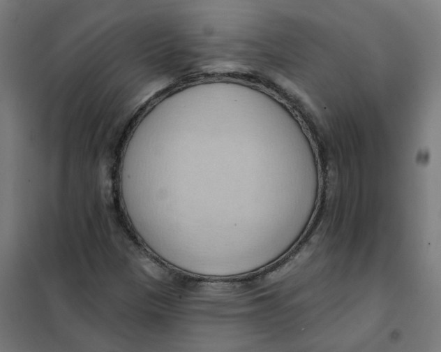 X0000101211305200807251040