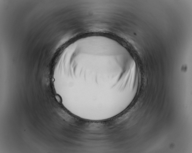 X0000101211306200807251040