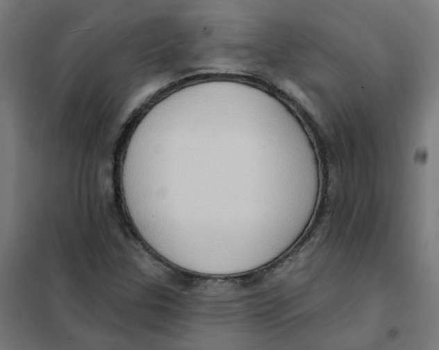 X0000101211307200807251040