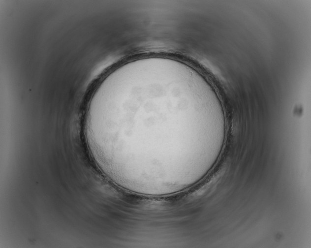 X0000101211309200807251040