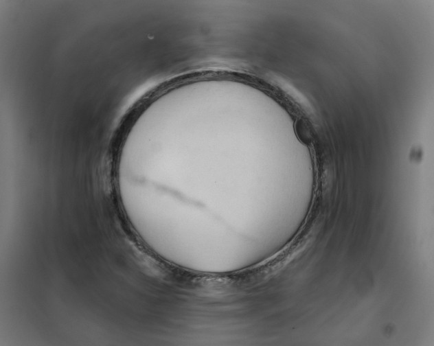 X0000101211310200807251040