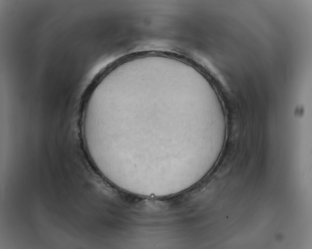 X0000101211312200807251040