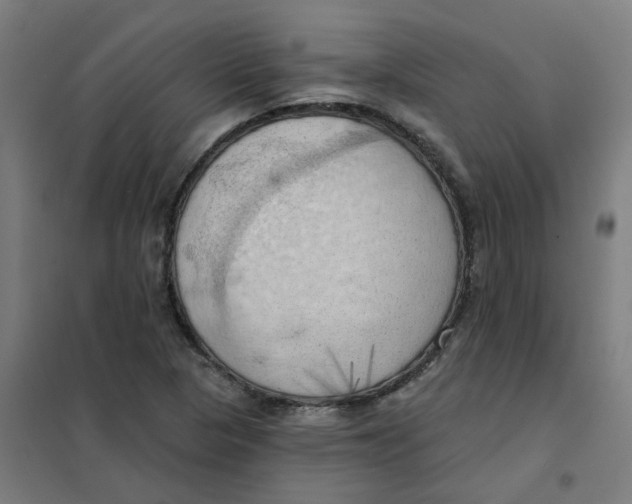 X0000101211313200807251040