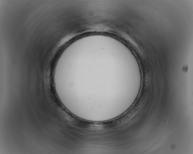 X0000101211315200807251040