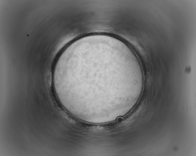 X0000101211317200807251040