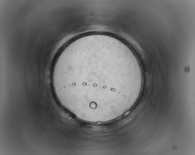 X0000101211318200807251040