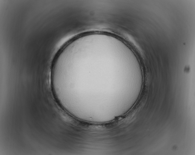 X0000101211320200807251040