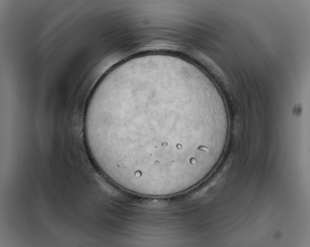 X0000101211321200807251040