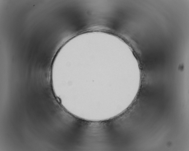 X0000101211322200807251040