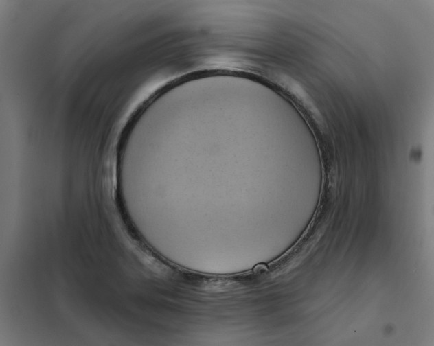 X0000101211323200807251040