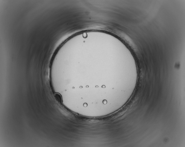 X0000101211324200807251040