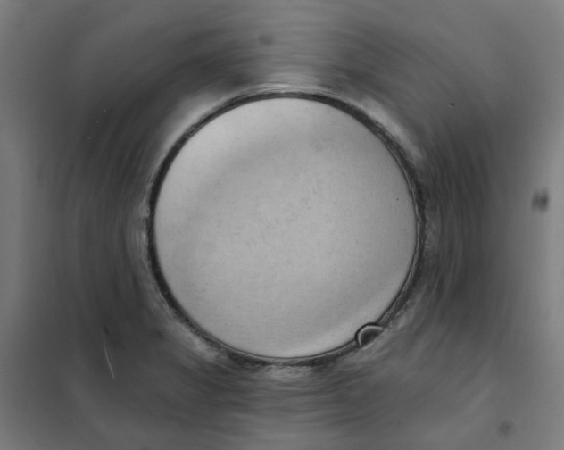 X0000101211325200807251040