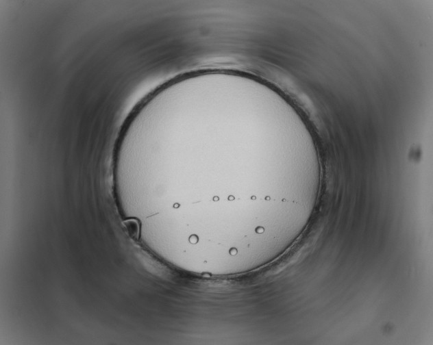 X0000101211328200807251040