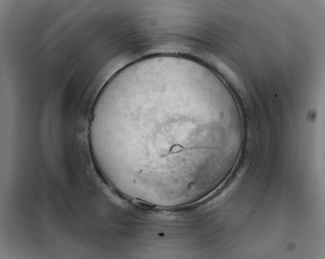 X0000101211329200807251040