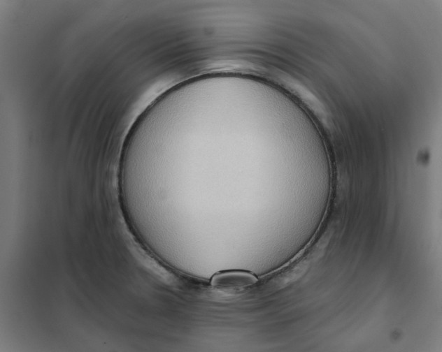 X0000101211330200807251040