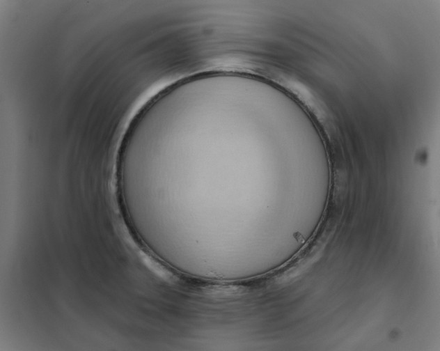 X0000101211331200807251040