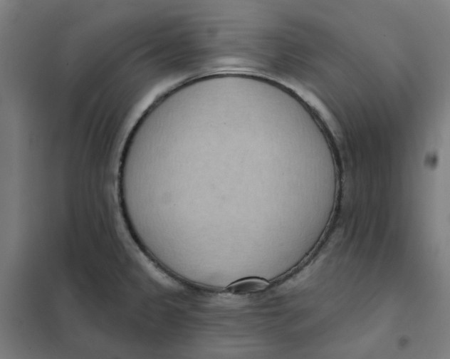 X0000101211333200807251040