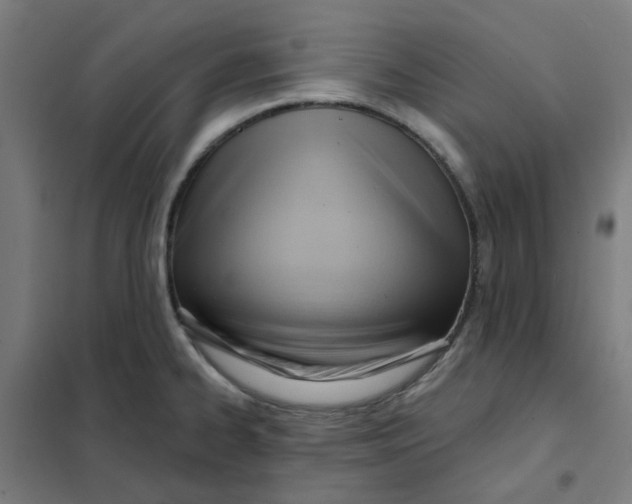 X0000101211334200807251040