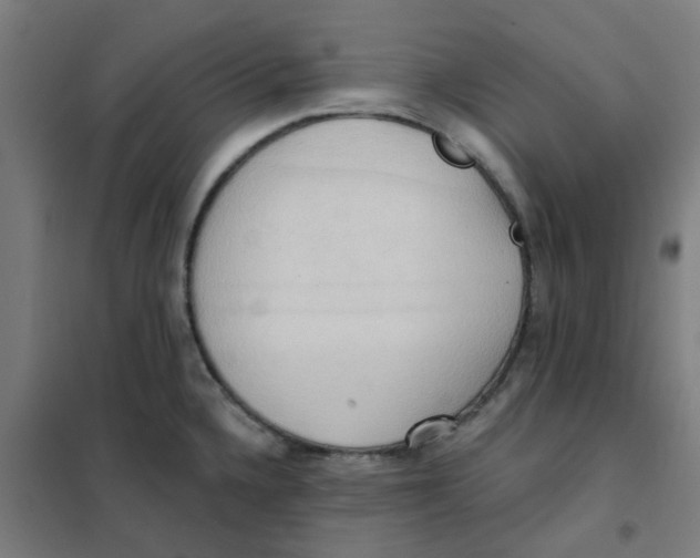 X0000101211336200807251040