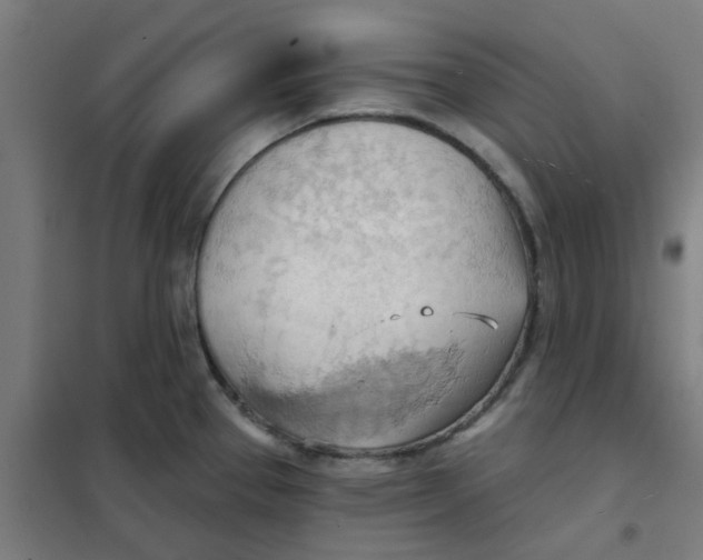 X0000101211337200807251040