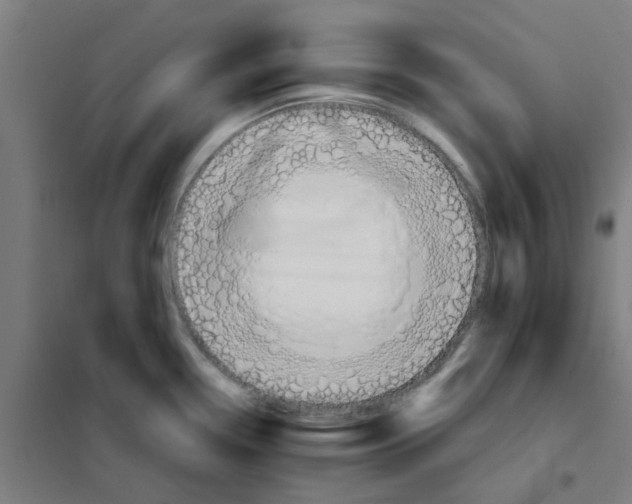 X0000101211338200807251040