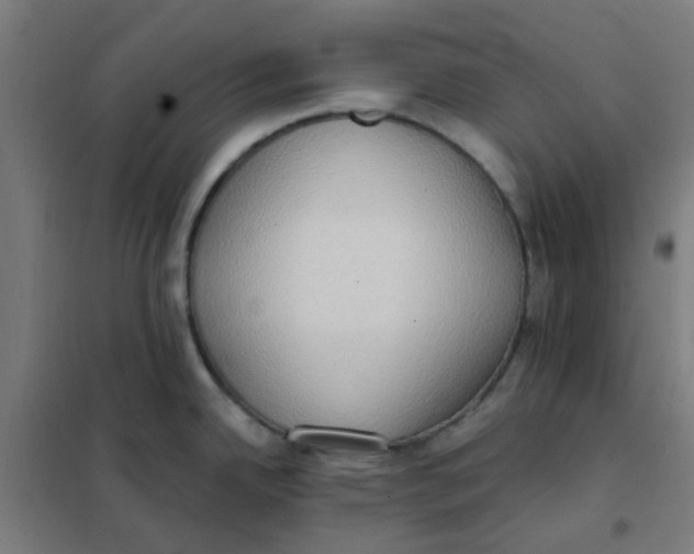 X0000101211342200807251040