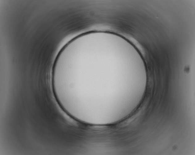 X0000101211343200807251040