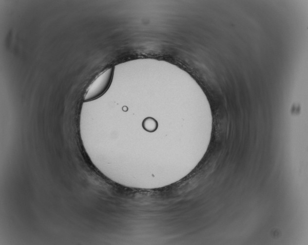 X0000101211345200807251040