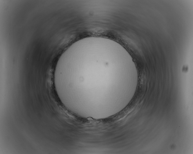 X0000101211346200807251040