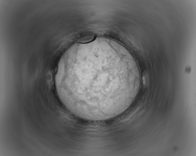 X0000101211347200807251040