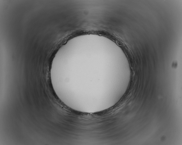 X0000101211348200807251040