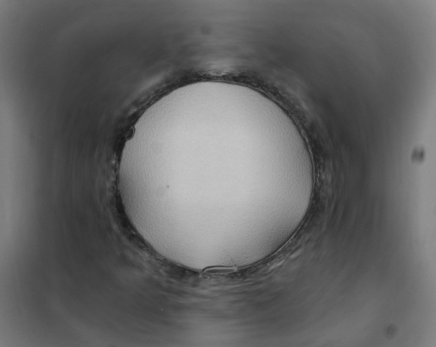 X0000101211349200807251040