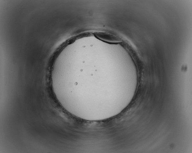 X0000101211352200807251039