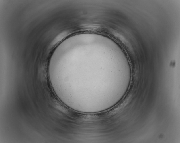 X0000101211354200807251039