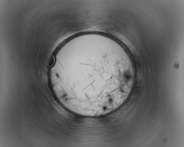 X0000101211356200807251039