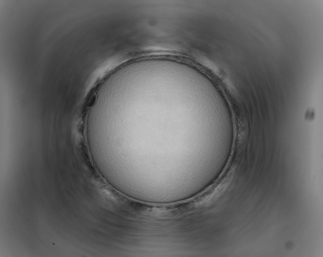 X0000101211357200807251039