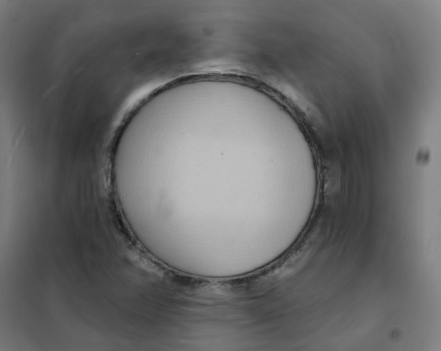 X0000101211358200807251039